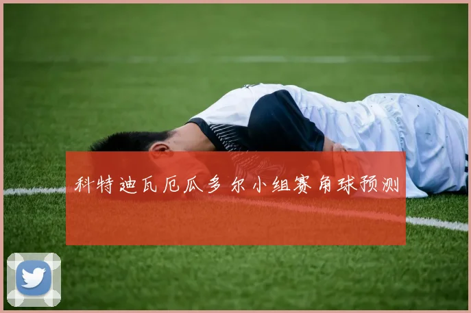 科特迪瓦厄瓜多尔小组赛角球预测
