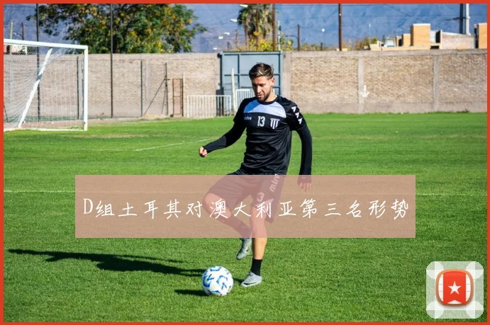 D组土耳其对澳大利亚第三名形势
