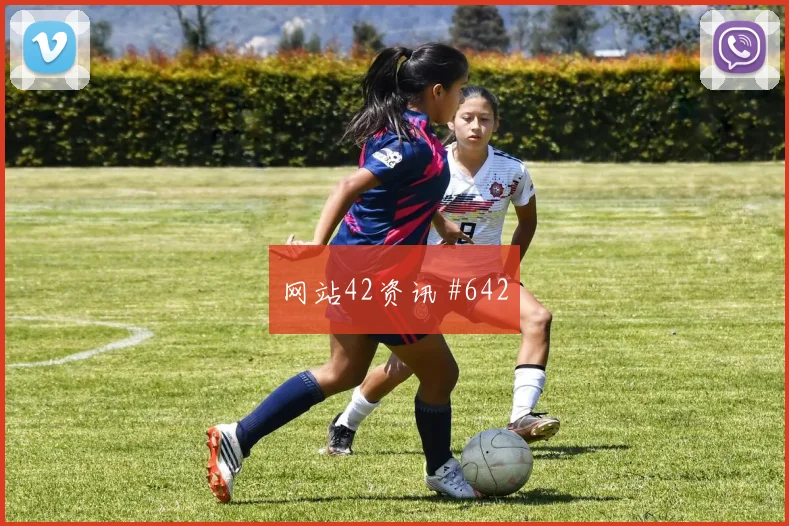 土耳其vs澳大利亚小组赛实力对比