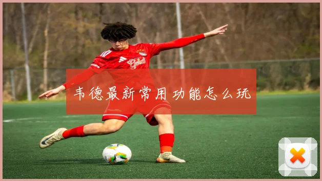韦德最新常用功能怎么玩