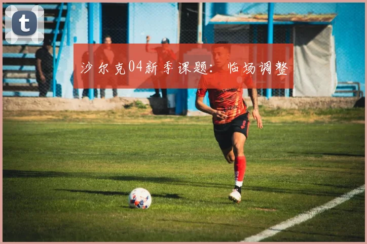 沙尔克04新季课题：临场调整
