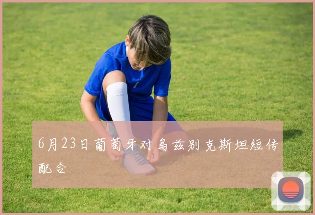 6月23日葡萄牙对乌兹别克斯坦短传配合